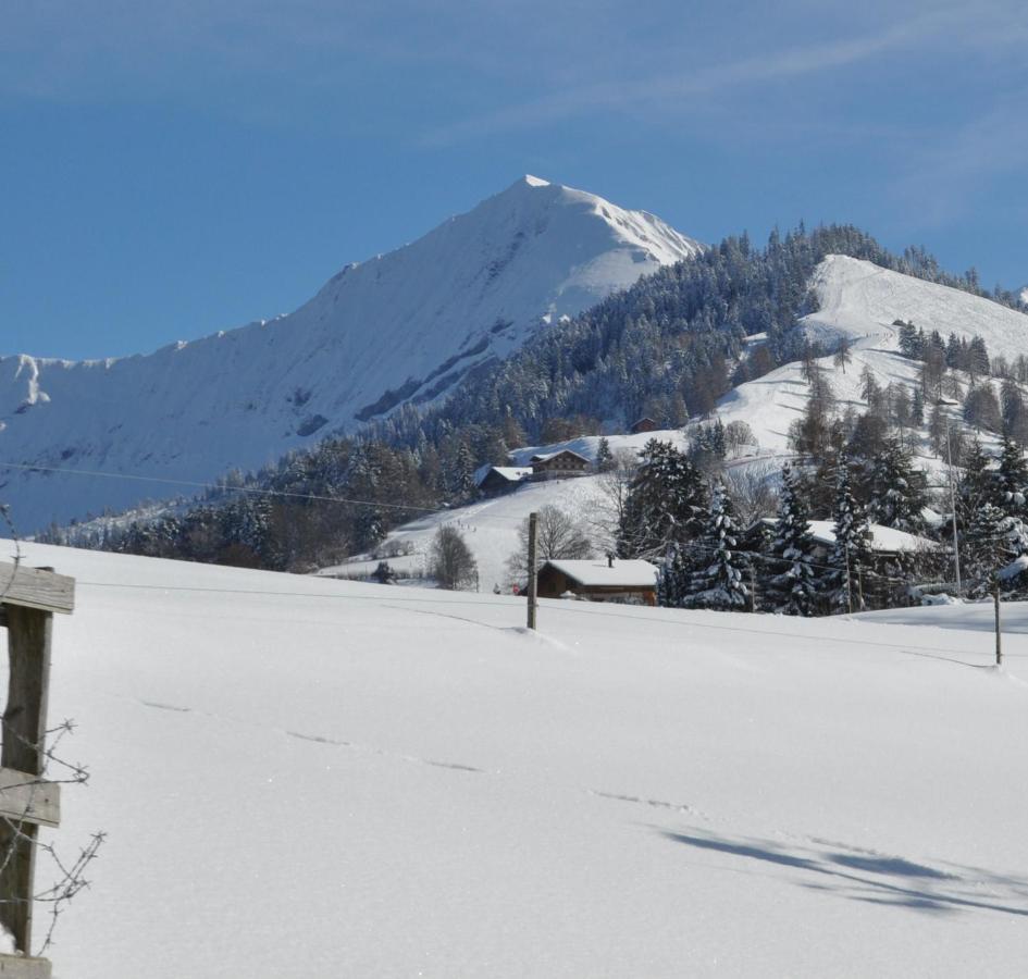 Ruhe Pur Appartement Aeschi Bei Spiez Buitenkant foto